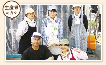 E1-24新潟県長岡産コシヒカリ【玄米】パックご飯 150g×16個
