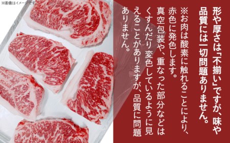 76-A0A【訳あり】不揃い 新潟県産牛（長岡産）サーロインステーキ1kg（200g×5枚）