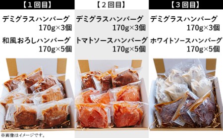 76-98B【3ヶ月連続お届け】湯せんで簡単!煮込みハンバーグ食べ比べセット 8個×3回お届け 総重量4kg以上!