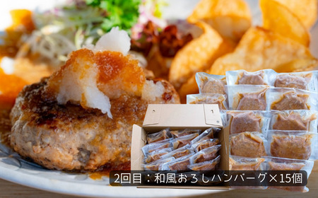 76-99A【3ヶ月連続お届け】湯せんで簡単!煮込みハンバーグ食べ比べセット 15個×3回お届け 総重量7.5kg以上!