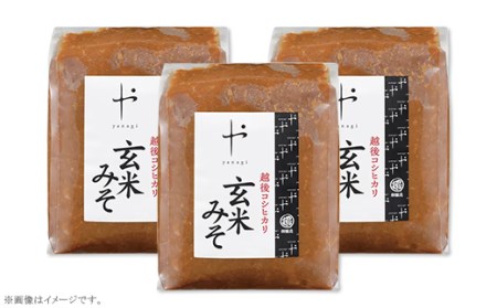 81-08コシヒカリ玄米みそ　1kg×3個