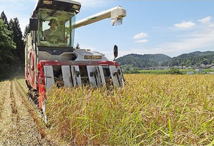 48-7R051【無洗米】新潟県長岡産「新之助」5kg