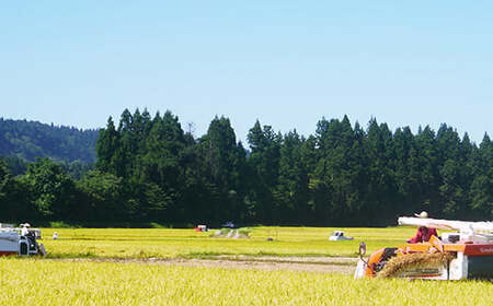 H0-7M051A新潟県魚沼産コシヒカリ（長岡川口地域）無洗米5kg