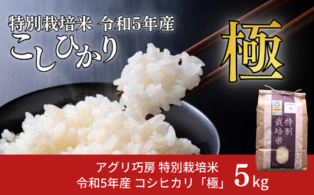 新米 特別栽培米 コシヒカリ 「極」 5kg 令和5年産米 こしひかり 新潟
