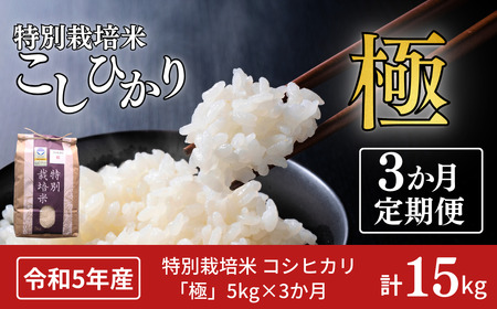 定期便 3ヵ月 コシヒカリ「極」5kg×3ヶ月 特別栽培米 こしひかり