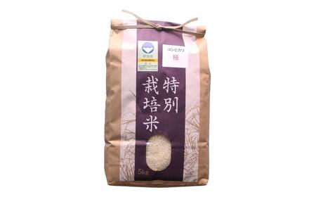 定期便 3ヵ月 コシヒカリ「極」5kg×3ヶ月 特別栽培米 こしひかり