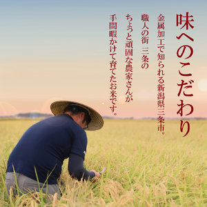 新潟県産 コシヒカリ10kg 令和7年 三条 コシヒカリ