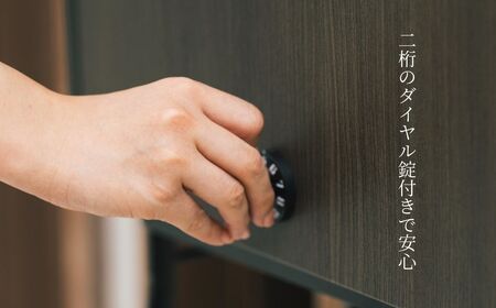 木目調大型郵便ポストダイヤル錠付き マットブラック FHM-70D(MBK) [グリーンライフ] ポスト 玄関エクステリア 郵便受け【040S021】