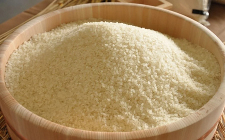 新潟県産 コシヒカリ 3kg×2 精米 三条市下田 令和7年 コシヒカリ