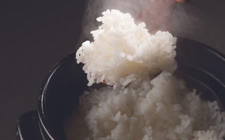 新潟県産 コシヒカリ 3kg×2 精米 三条市下田 令和7年 コシヒカリ