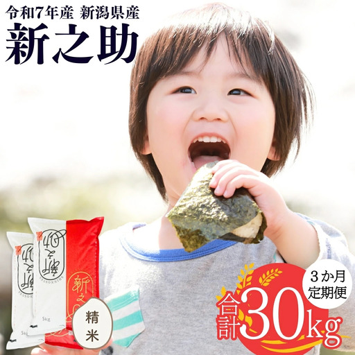 定期便 無洗米 新之助 10kg×3か月 令和7年産新之助  無洗米 白熊