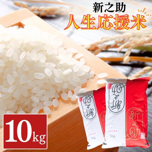 新之助人生応援米10kg(5kg×2) 令和7年産 新之助 新之助 白米 アグリ巧房 【024S033】