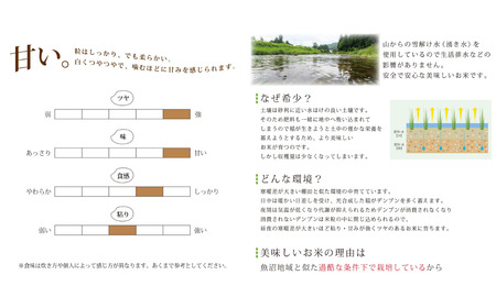 [定期便] 天水田で育った コシヒカリ 5kg × 6か月 オーガニック米 新潟県産 こしひかり [由兵衛どん]