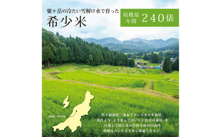 [定期便] 天水田で育った コシヒカリ 5kg × 6か月 オーガニック米 新潟県産 こしひかり [由兵衛どん]