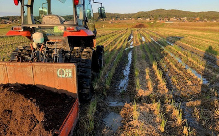 新潟県認証コシヒカリ 10kg 特別栽培米コシヒカリ 5kg×2 令和7年産