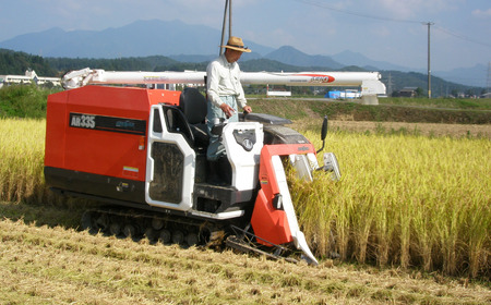新潟県認証コシヒカリ 10kg 特別栽培米コシヒカリ 5kg×2 令和7年産