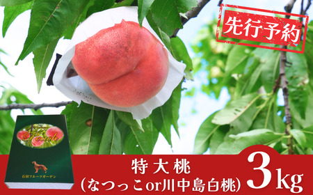 先行予約 特大桃 3kg 2026年発送 なつっこ 川中島 新潟県 桃 贈答用 石田フルーツガーデン