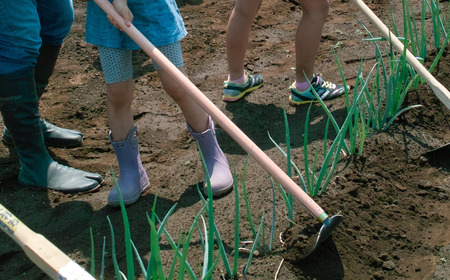 万能ワングリホー210mm 刃先カバー付 除草道具 園芸用品 鍛冶 鍛造 燕三条製 [相田合同工場] 【024S035】