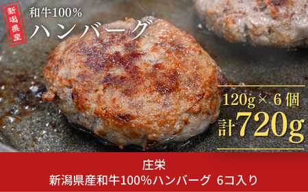 新潟県産和牛100％ハンバーグ 6コ入り ハンバーグ 挽肉ステーキ つなぎ無し 簡単調理 牛肉 肉 和牛 惣菜 ギフト お中元 お歳暮 【018S052】