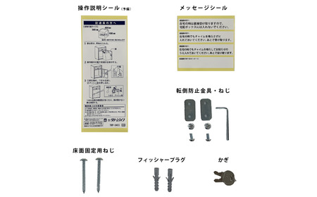 ポスト一体型宅配ボックス レシーボ 約34×48×65cm 屋外 レシーボ TRP-3465(MBK) [グリーンライフ] 【075S008】