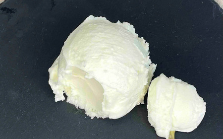 ジェラートマエストロが作るファミリーセット 1L×2 合計2L[なんかんミルク・ピスタチオ] ジェラート アイス 大容量 ファミリーパック 添加物不使用 [Gelateria coco]【017S083】