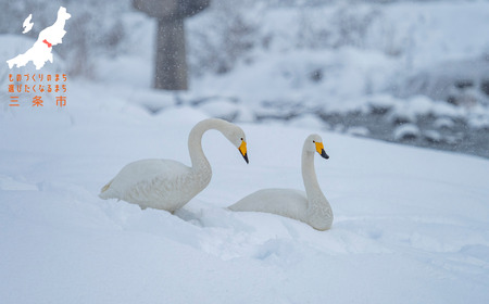 返礼品なし 寄付のみ ものづくりのまち・アウトドアのまち三条 応援受付 寄附 新潟県三条市 1口2,000円 【002S001】