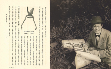 剪定バサミ Makino Edition 牧野富太郎 数量限定 ツヴィリング 燕三条製 園芸用品