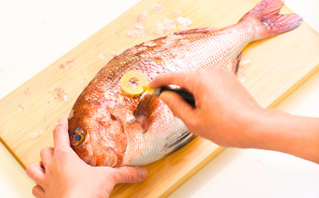 [大人の焼魚] 鱗とり 飛び散らない カバー付 うろこ取り 調理器具 キッチン用品 燕三条製 【011S238】