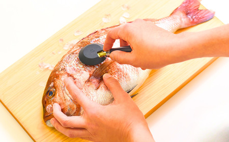 [大人の焼魚] 鱗とり 飛び散らない カバー付 うろこ取り 調理器具 キッチン用品 燕三条製 【011S238】