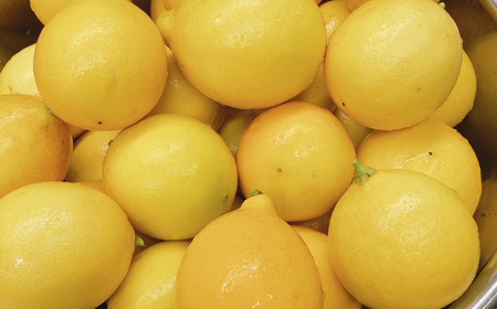 まるごとレモンバスチー パティスリールーツ 二層 バスクチーズ レモンケーキ クリスマス ギフト お取り寄せ 冷凍 【011S275】