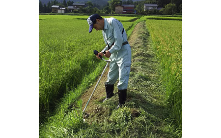 新潟県認証コシヒカリ 20kg 特別栽培米 10kg×2袋 三条市下田産 令和7年産