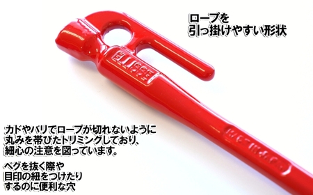 鍛造ペグ エリッゼステーク 38cm ペグ 8本セット レッド