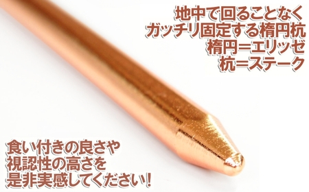 鍛造ペグ エリッゼステーク 38cm ペグ 8本セット ブロンズ