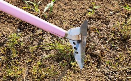 万能鍬 三角ホー バタフライプリンセス ピンク 家庭菜園 農作業 燕三条製 [浅野木工所] 【014S106】