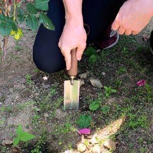 ガーデニング用スコップ ハンドトロウェル 土に刺さりやすい移植ゴテ ステンレス製 家庭菜園 農作業 燕三条製 [浅野木工所] 【011S237】