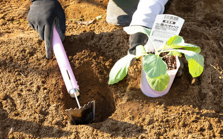 1本6役 草刈り鎌&鍬 マジックワンド ピンク 家庭菜園 農作業 燕三条製 [浅野木工所] 【010S535】