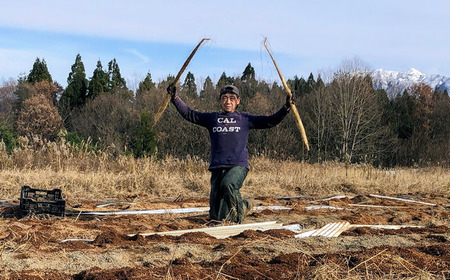 自然薯 カットパック 約600g(300g×2パック) 山芋 とろろご飯に じねんじょ [まもる農園] 【010S660】