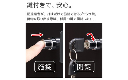 二段宅配ボックスレシーボ 約45.2×45.4×68cm 屋外 レシーボ TR2-4568(BK) 保管庫 ブラック 黒 2段宅配ボックス 鍵付き 防犯対策 [グリーンライフ] 【100S006】