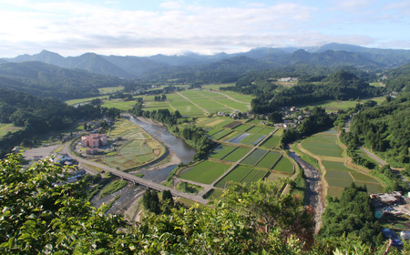 新潟県認証特別栽培米 コシヒカリ 3kg(1×3袋） 令和7年産 真空パック