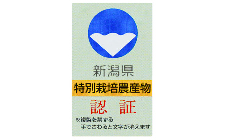 新潟県認証特別栽培米 コシヒカリ 3kg(1×3袋） 令和7年産 真空パック
