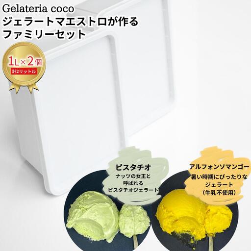 ジェラートマエストロが作るファミリーセット 1L×2 合計2L[ピスタチオ・アルフォンソマンゴー] ジェラート アイス 大容量 ファミリーパック 添加物不使用 [Gelateria coco]【017S096】