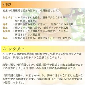 先行予約 フルーツ 定期便 全4回 フルーツ 定期便Bコース (桃3kg、シャインマスカット2房、和梨5kg、ルレクチェ3kg) 令和8年産 フルーツ 定期便 新潟県三条市 083S009