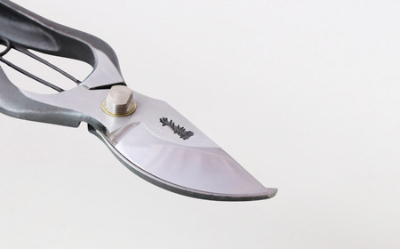 剪定鋏 225mm T-34 庭仕事 ガーデニング 園芸用品 燕三条製 [外山刃物]