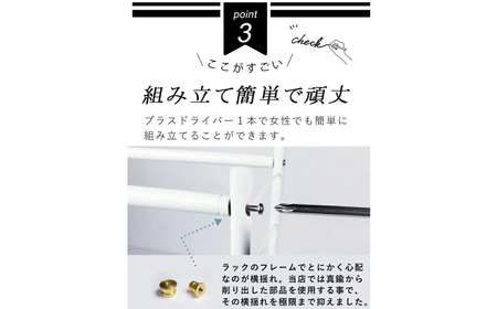 [燕三条水切り直販店] シンク上 水切りラック ミニ 白タイプ 水切りかご