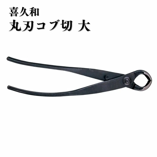 丸刃コブ切 大 盆栽 盆栽道具 はさみ ハサミ 鋏 [喜久和] 【030S093】