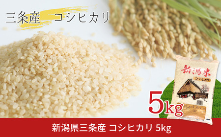 コシヒカリ 新潟県三条産コシヒカリBL 5kg 令和7年産精米 新潟県産