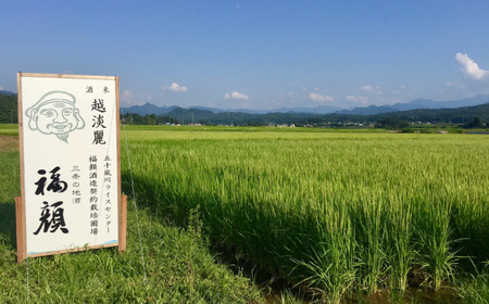 日本酒の新たな可能性追求セット 新潟県 日本酒 飲み比べ [福顔酒造]【034S029】