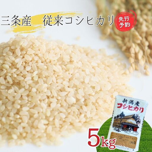 コシヒカリ 新潟県三条産コシヒカリ 従来品種 5kg×1袋 令和7年産 精米 新潟県産