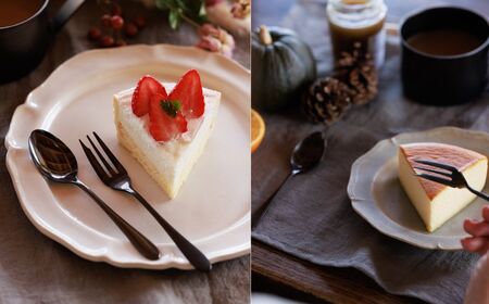 黒染めカトラリーデザートセット [つやつや] 96 KURO スプーン フォーク ステンレス製 燕三条製 新生活 ギフト 一人暮らし おしゃれ キッチン ティータイム おもてなし【010S756】