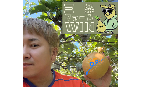 和梨 新興 自家用 約5kg 令和7年度 [三条ファームWIN] 【010S841】